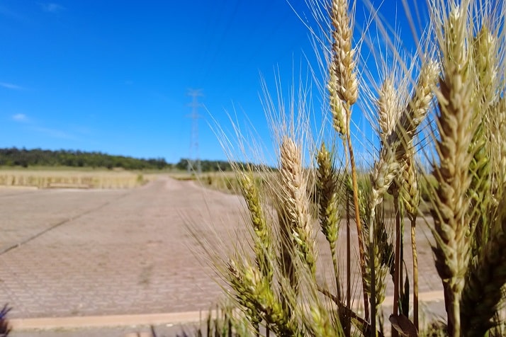 Bog Mats Protecting Agricultural Land