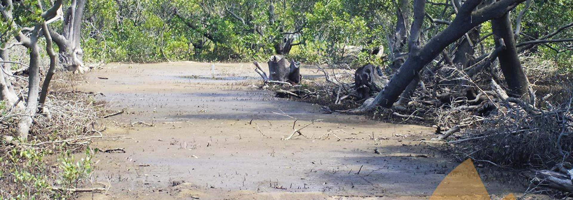 Sensitive Wetlands- Dura-Base Mats